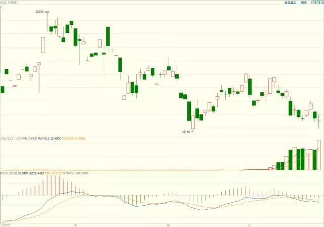 泰康人寿2025年爱家节温暖启幕